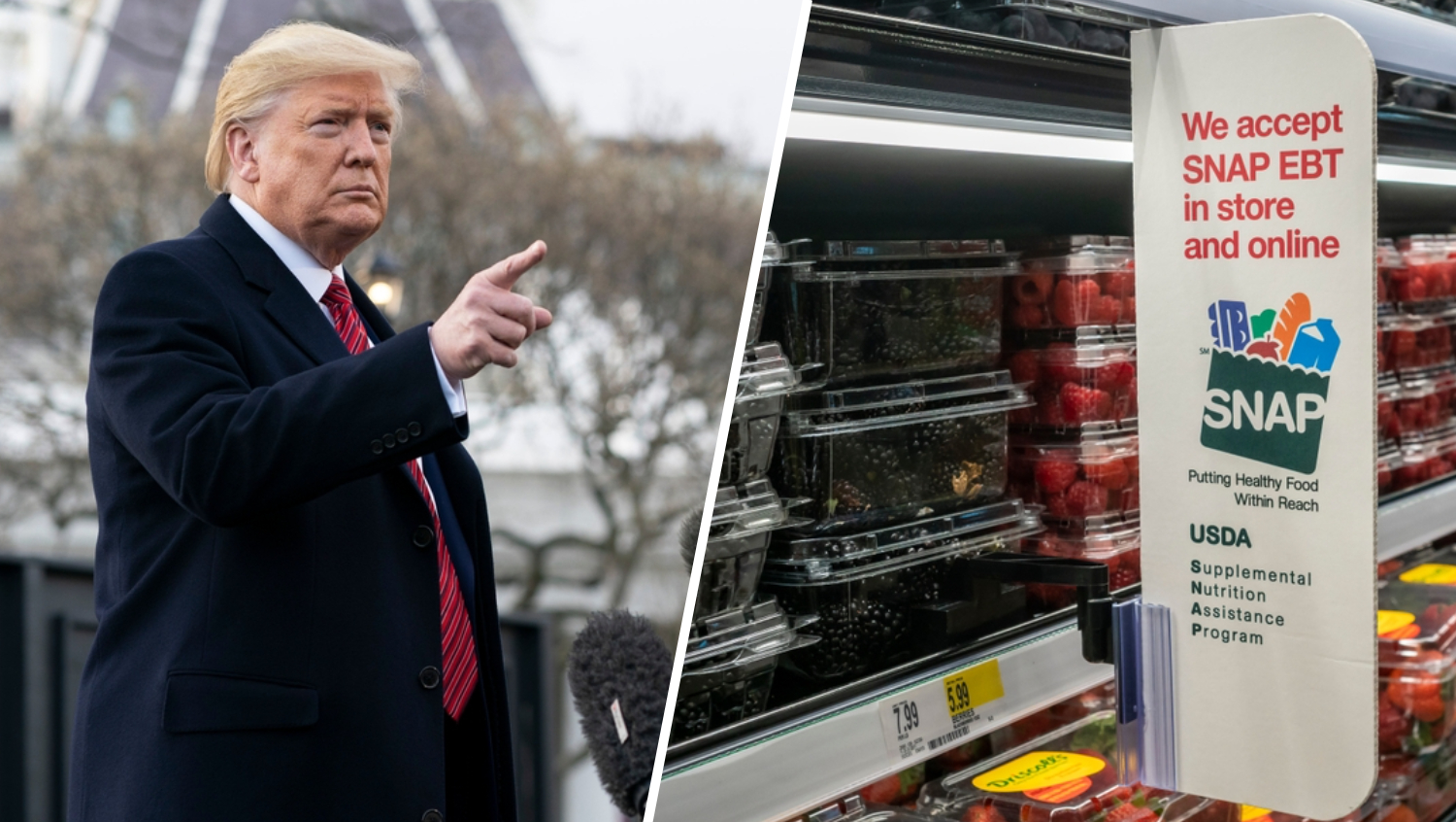 Golpe a Trump: juez bloquea restricciones a estados para obt