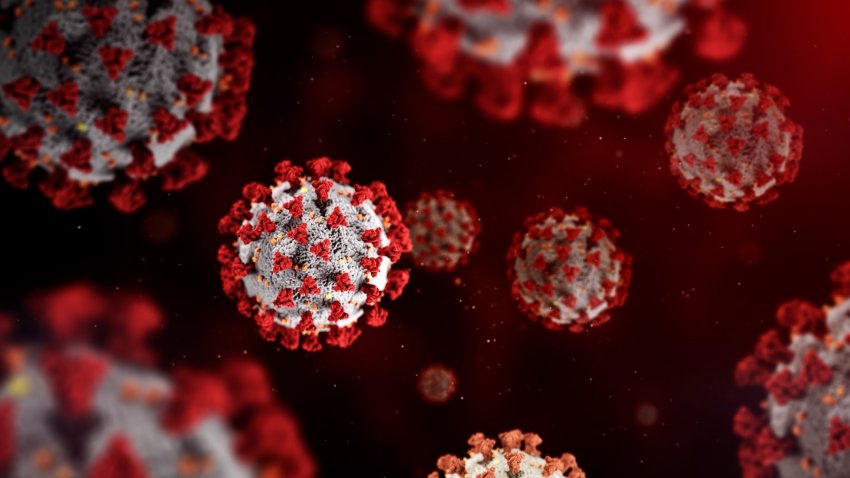 Qué debes saber sobre la variante "Stratus" de COVID-19