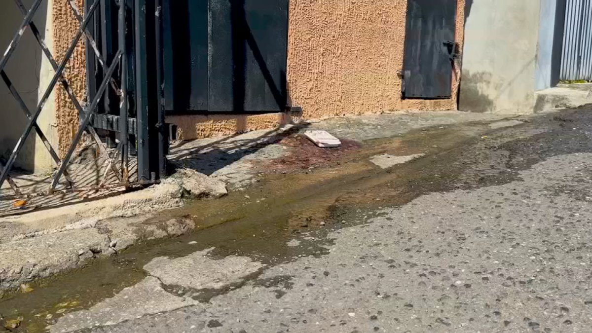 Asesinan a hombre de 61 años en Ponce – Telemundo Puerto Rico