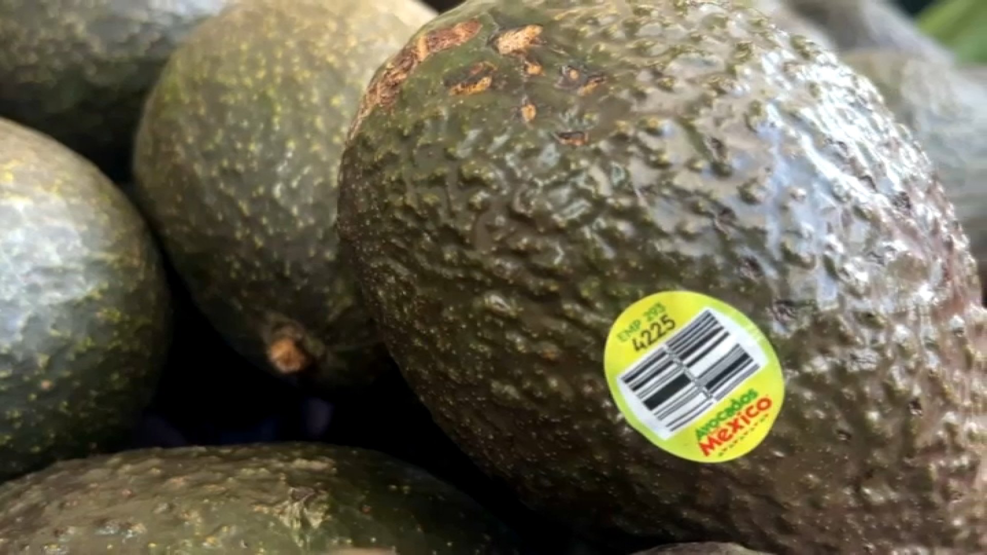 Imagen de la cobertura de: EEUU suspende verificaciones de aguacates en Michoacán por motivos de seguridad