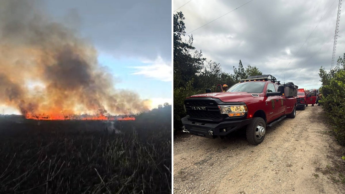 Atienden fuego forestal en Vega Baja