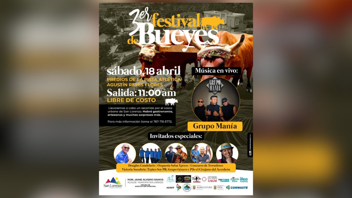 Invitan a Festival de Bueyes de San Lorenzo