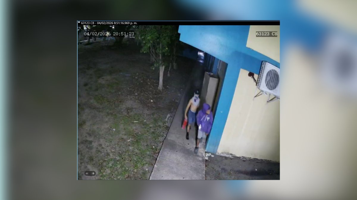Arrestan tres individuos tras intentar escalar una escuela en San Juan