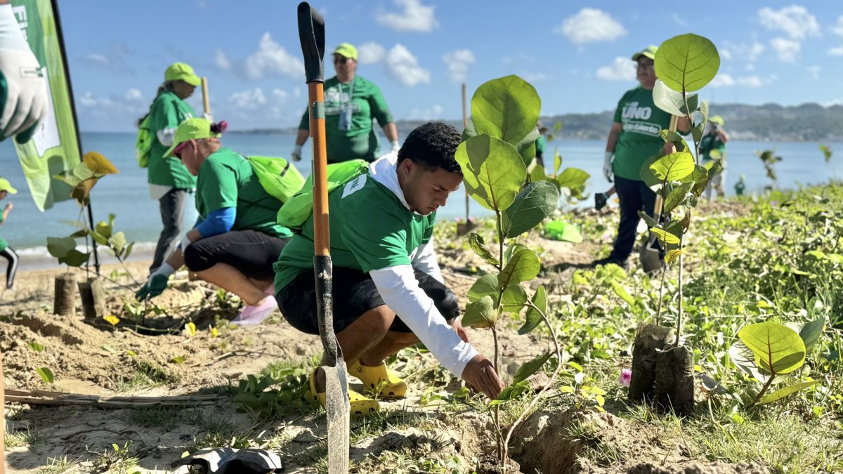 Buscan completar la siembra de 25 mil árboles