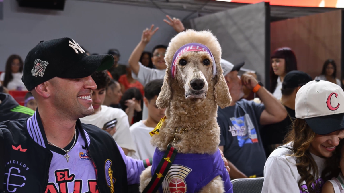 Gohan: en Poodle fanático de los Criollos del BSN que acapara las redes