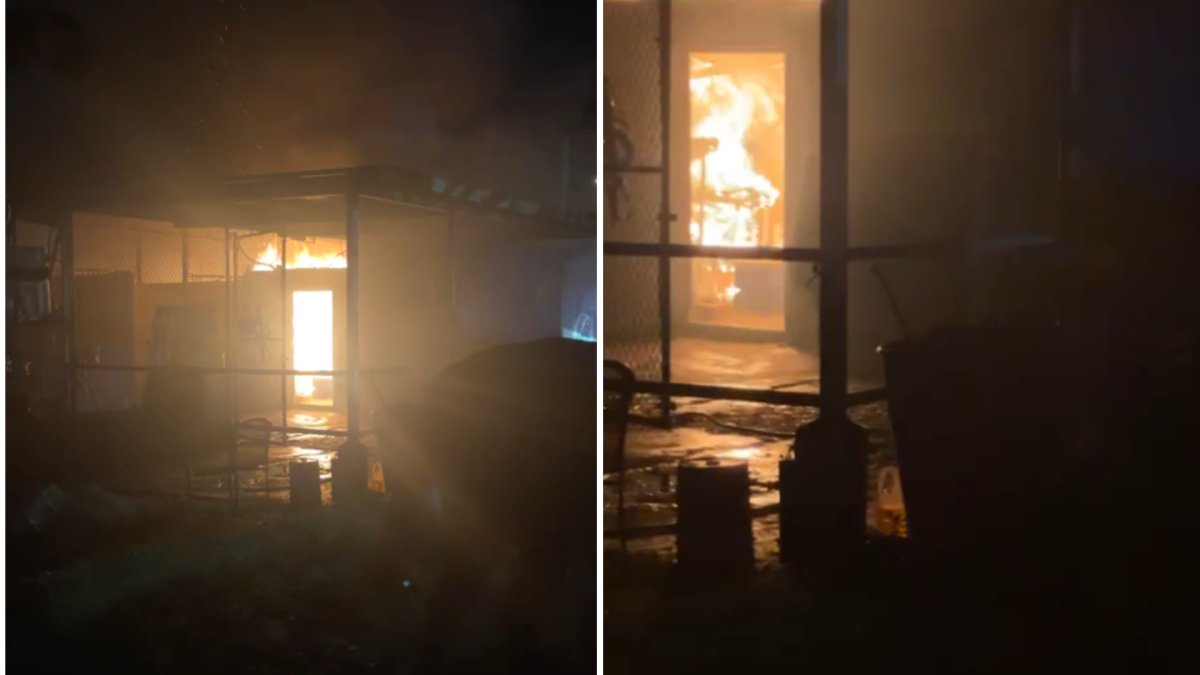Investigan fuego en el Hipódromo Camarero; hubo dos caballos levemente heridos