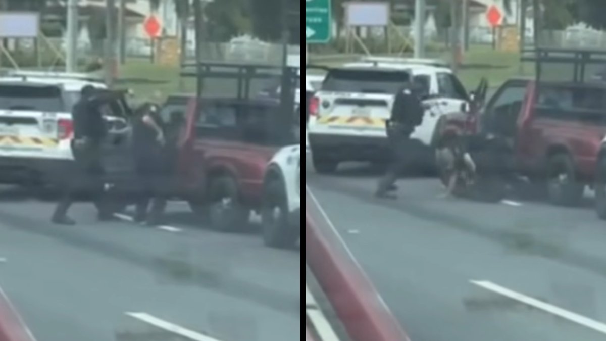 EN VIDEO | Detienen a hombre que chocó patrulla e intentó huir en Carolina