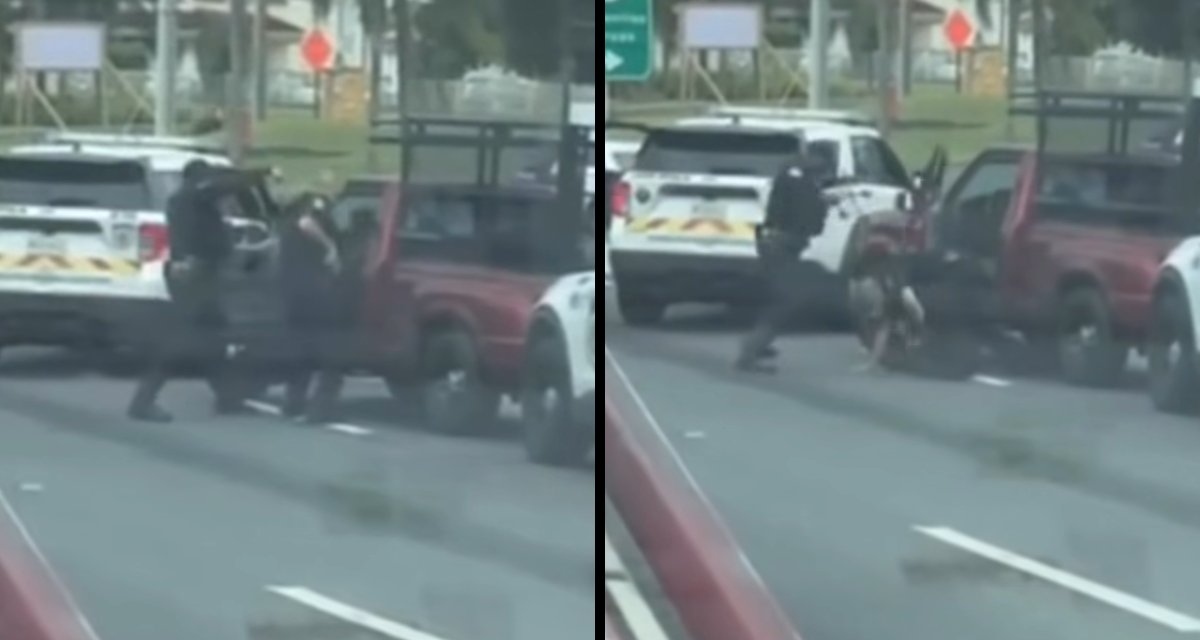 EN VIDEO | Detienen a hombre que chocó patrulla e intentó huir en Carolina