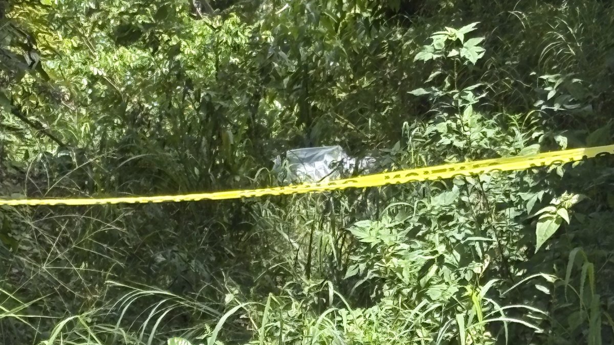 Hallan cuerpo descompuesto en zona boscosa en San Sebastián