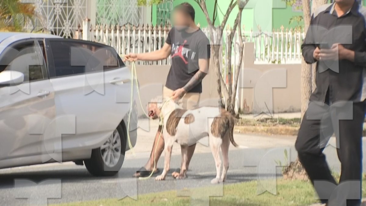 Menor y su madre sufren heridas tras ataque de perro en Carolina