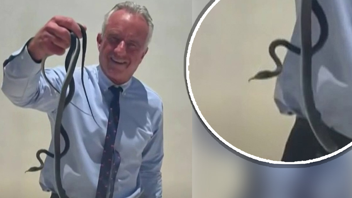 Robert Kennedy Jr. causa revuelo al atrapar serpientes con sus manos. No es la primera vez que lo hace