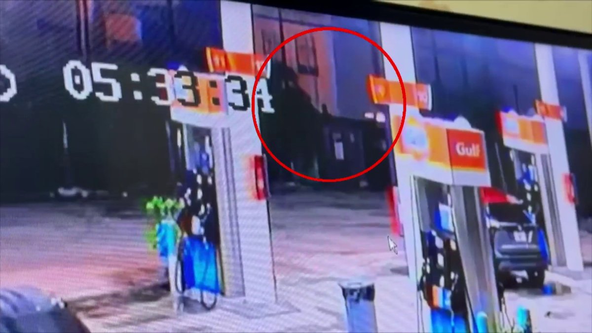 Captado en video: hombre muere arrollado frente a tribunal de Caguas