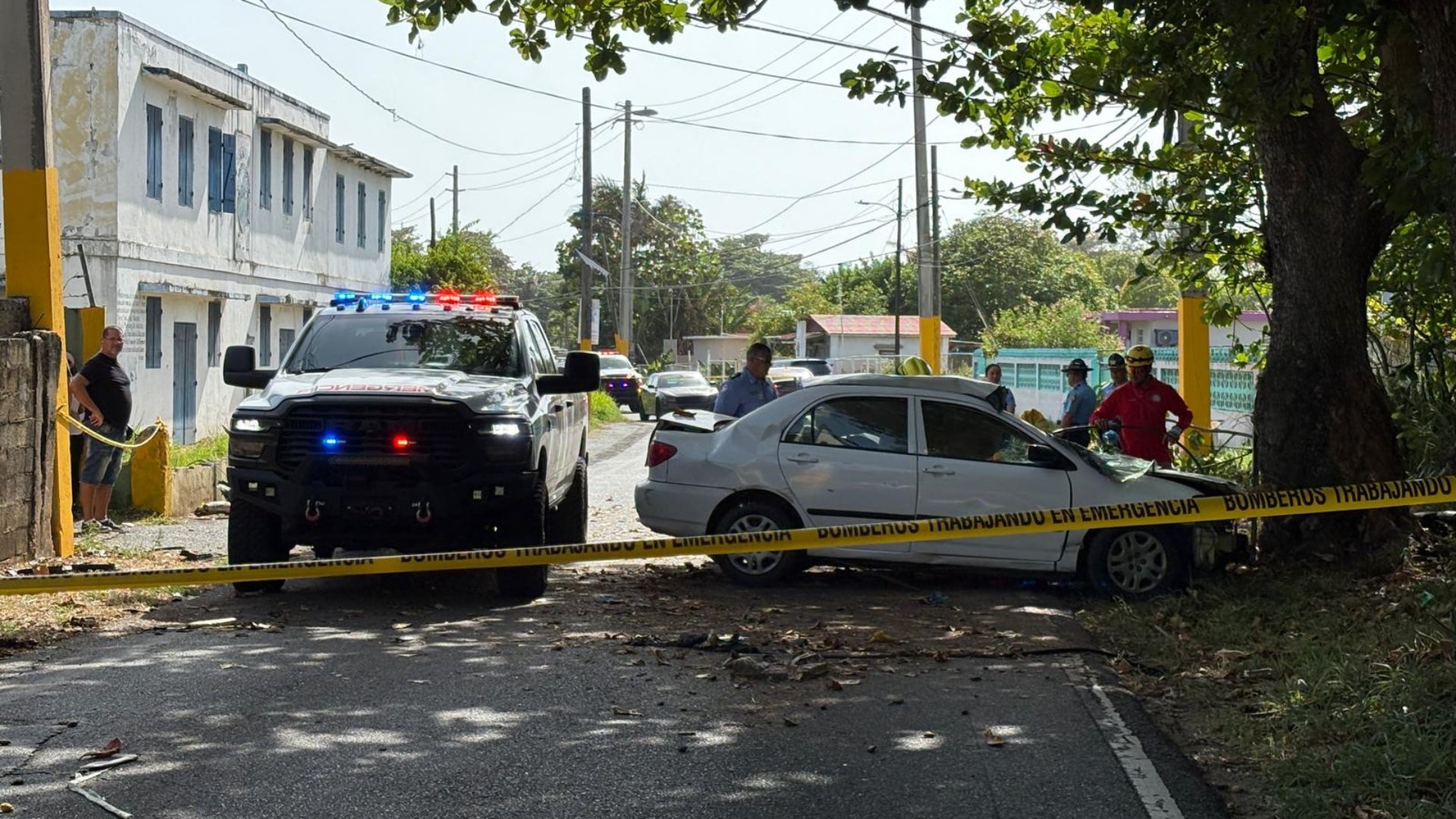 Conductor de 78 años muere tras impactar poste y un árbol en Arecibo