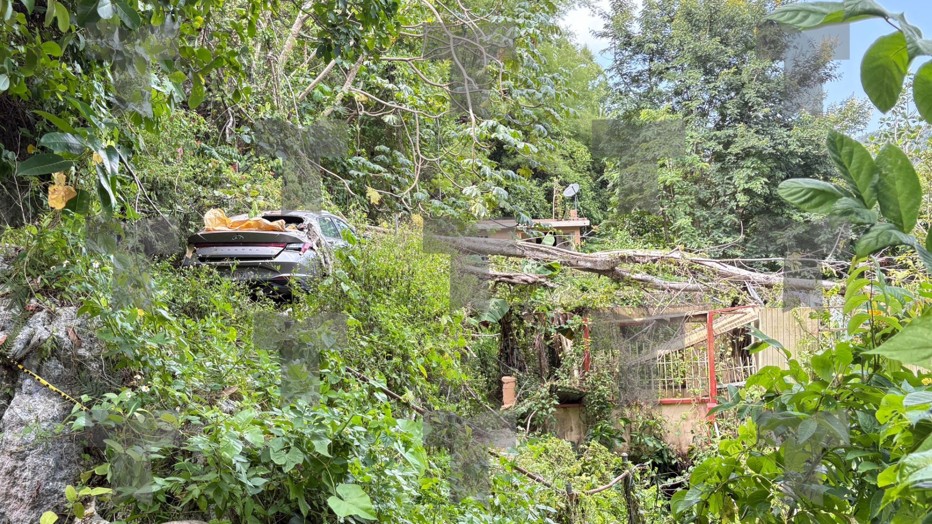 Hallan osamenta en estructura abandonada en Arecibo