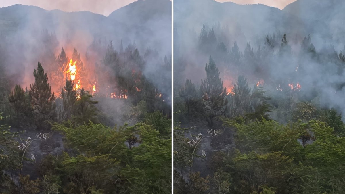 DRNA y Bomberos atienden incendio forestal en zona limítrofe entre Ponce y Jayuya