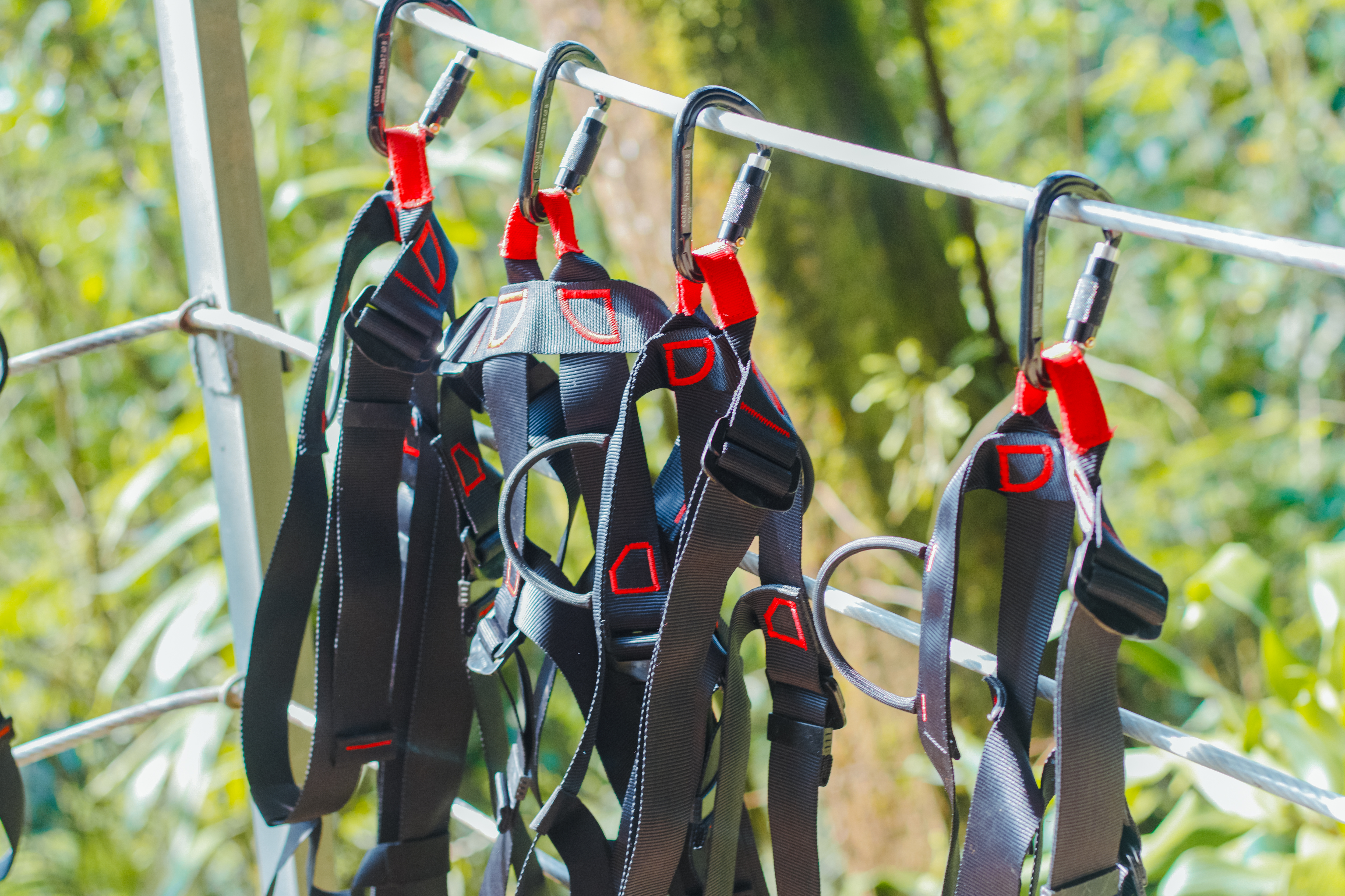 Joven de 21 años muere durante salto de bungee; no habría estado conectada al cable de seguridad