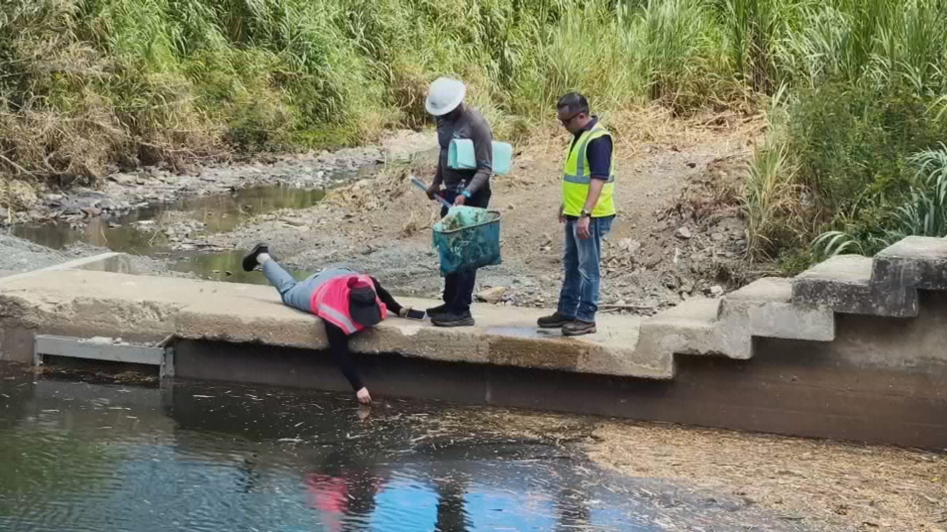 AAA completa trabajos de limpieza en planta de Canóvanas
