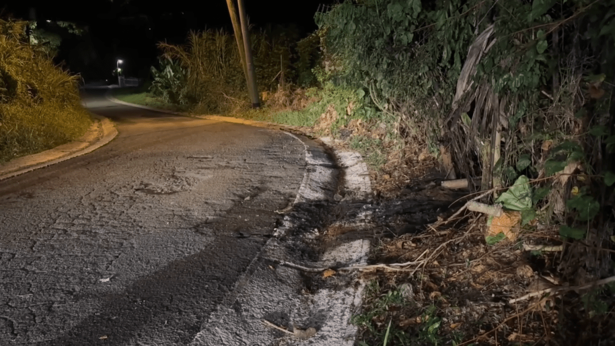 Hallan hombre amordazado, tiroteado y parcialmente quemado en Trujillo Alto