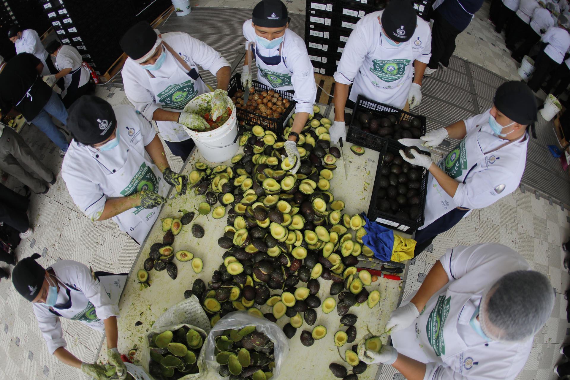 Jalisco rompe récord: preparan 12.4 toneladas de guacamole, el más grande del mundo