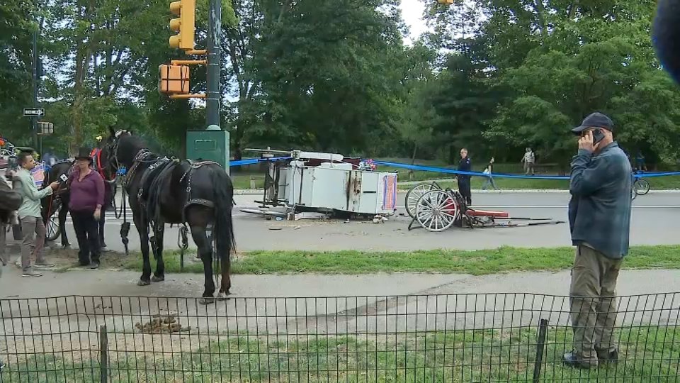 Muere un joven de 18 años tras accidente en un carruaje turístico de Central Park en NY