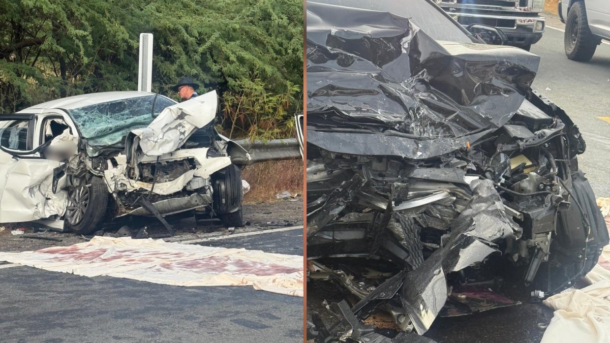Pasajero muere tras accidente fatal en curva de la PR-116 en Guánica