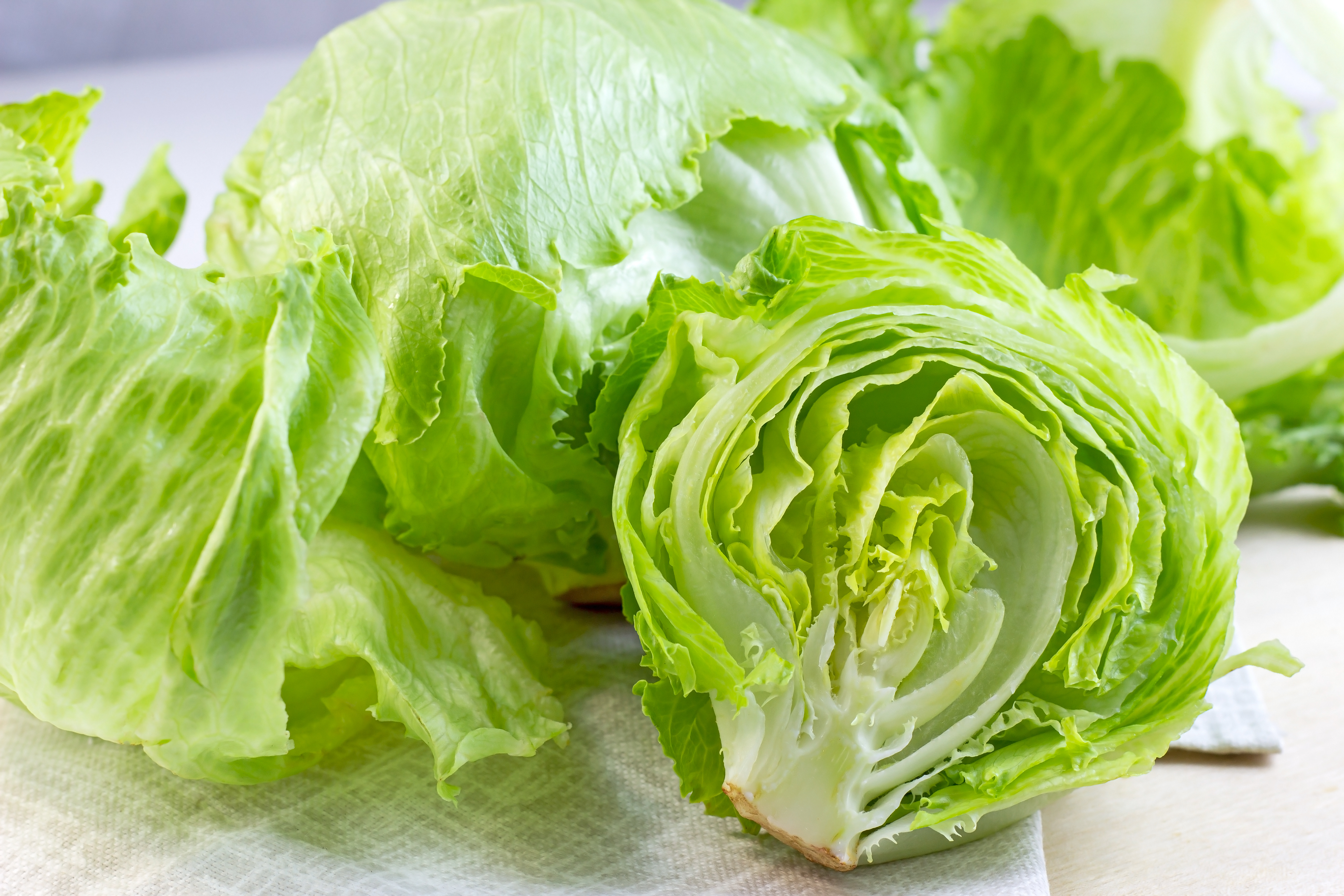 Taylor Farms retira del mercado lechuga iceberg por brote de ciclosporiasis
