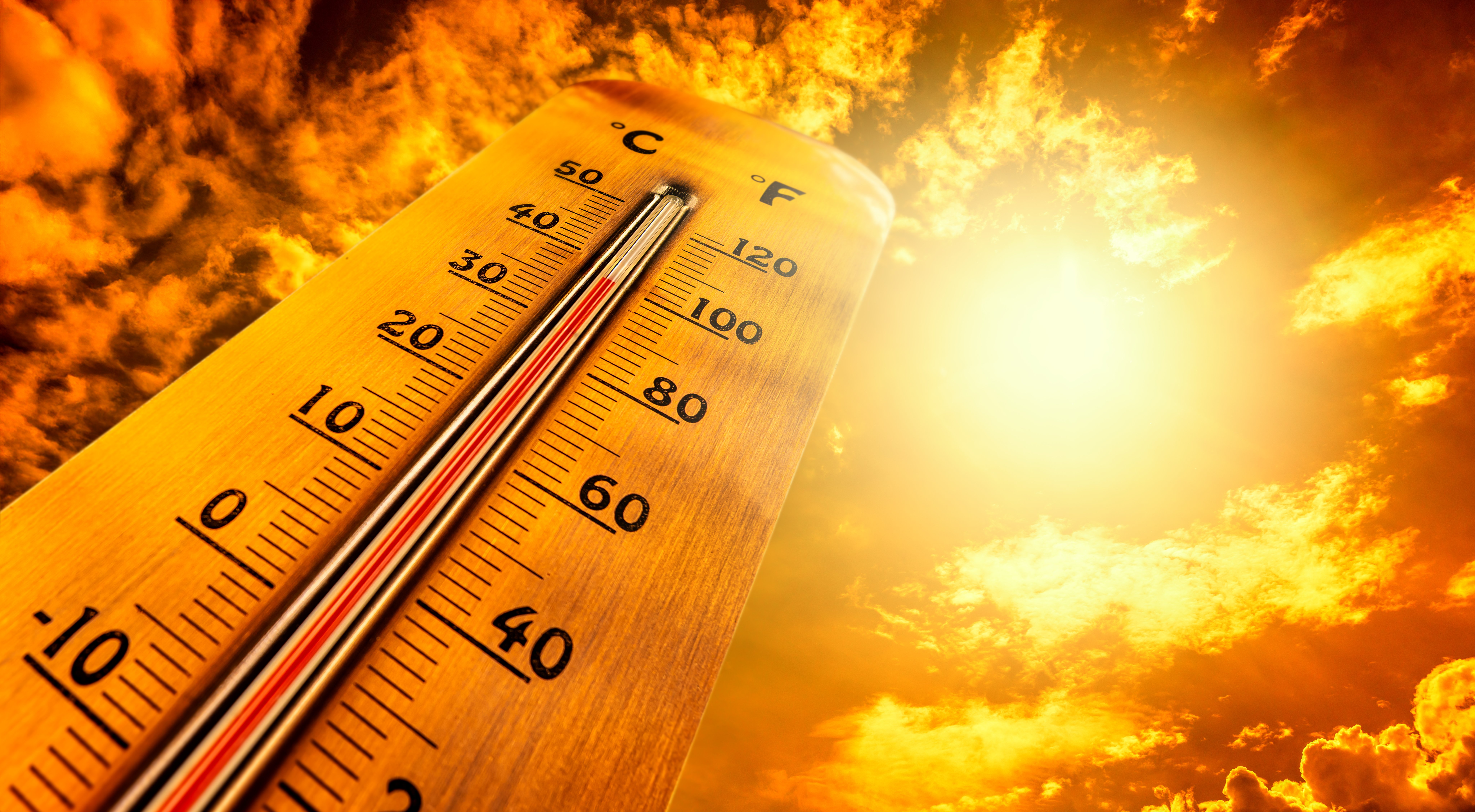 Imagen del artículo de Telemundo PR: ¡Precaución! Emiten aviso de calor para 59 municipios