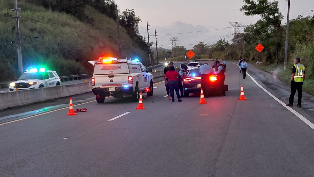 Peatón muere arrollado en la PR-6 entre Cataño y Bayamón