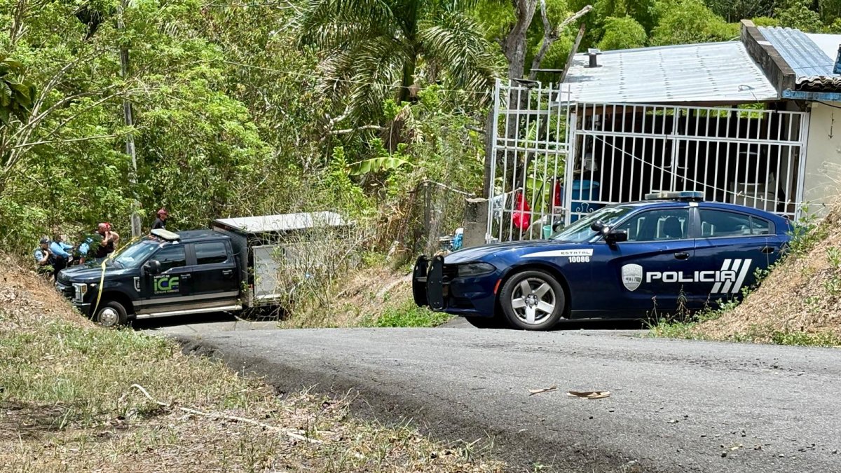 Asesinan a hombre de 75 años en Aguas Buenas en disputa por colindancias