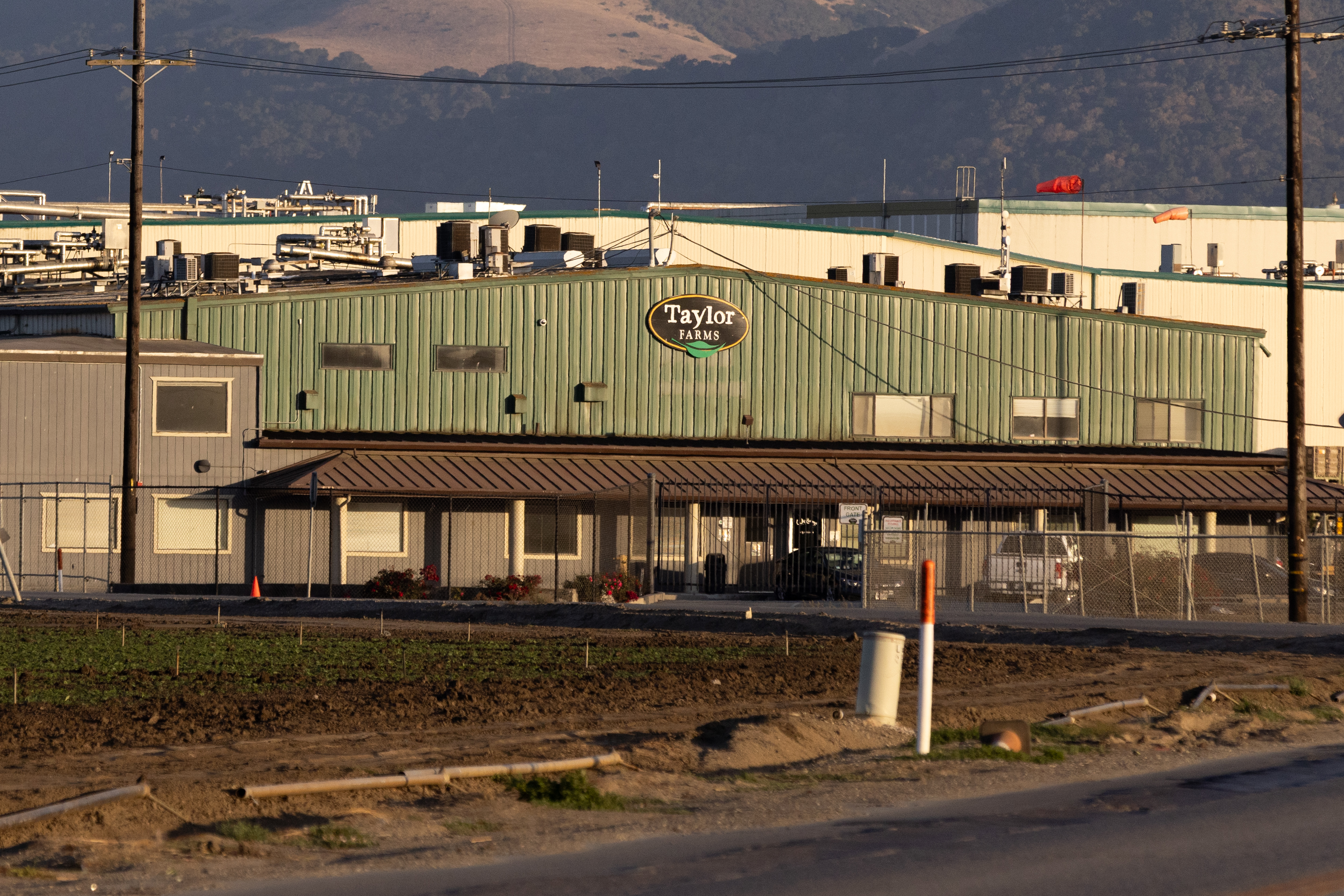 FDA descarta como falso positivo muestra de lechuga de Taylor Farms vinculada a ciclosporiasis