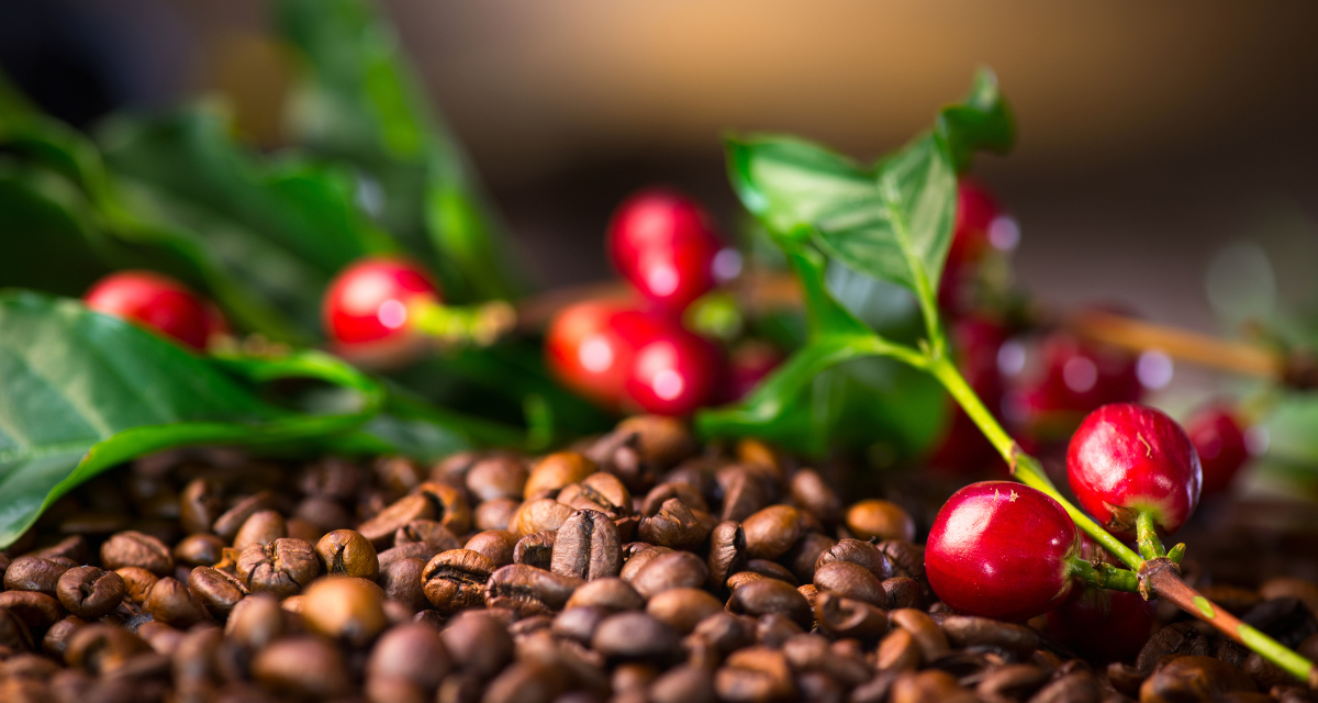 Imagen de la cobertura de: Solicitan aumento en el precio mínimo del café