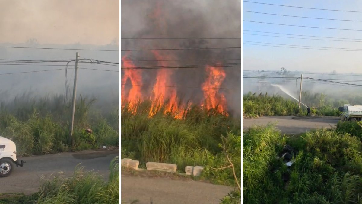 Fuego forestal de gran magnitud en Arecibo afecta tramo entre PR-10 y PR-2