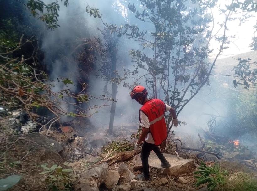 Imagen de la cobertura de: Recuperan cuerpos tras accidente de helicóptero en Kenia que dejó cinco estadounidenses muertos
