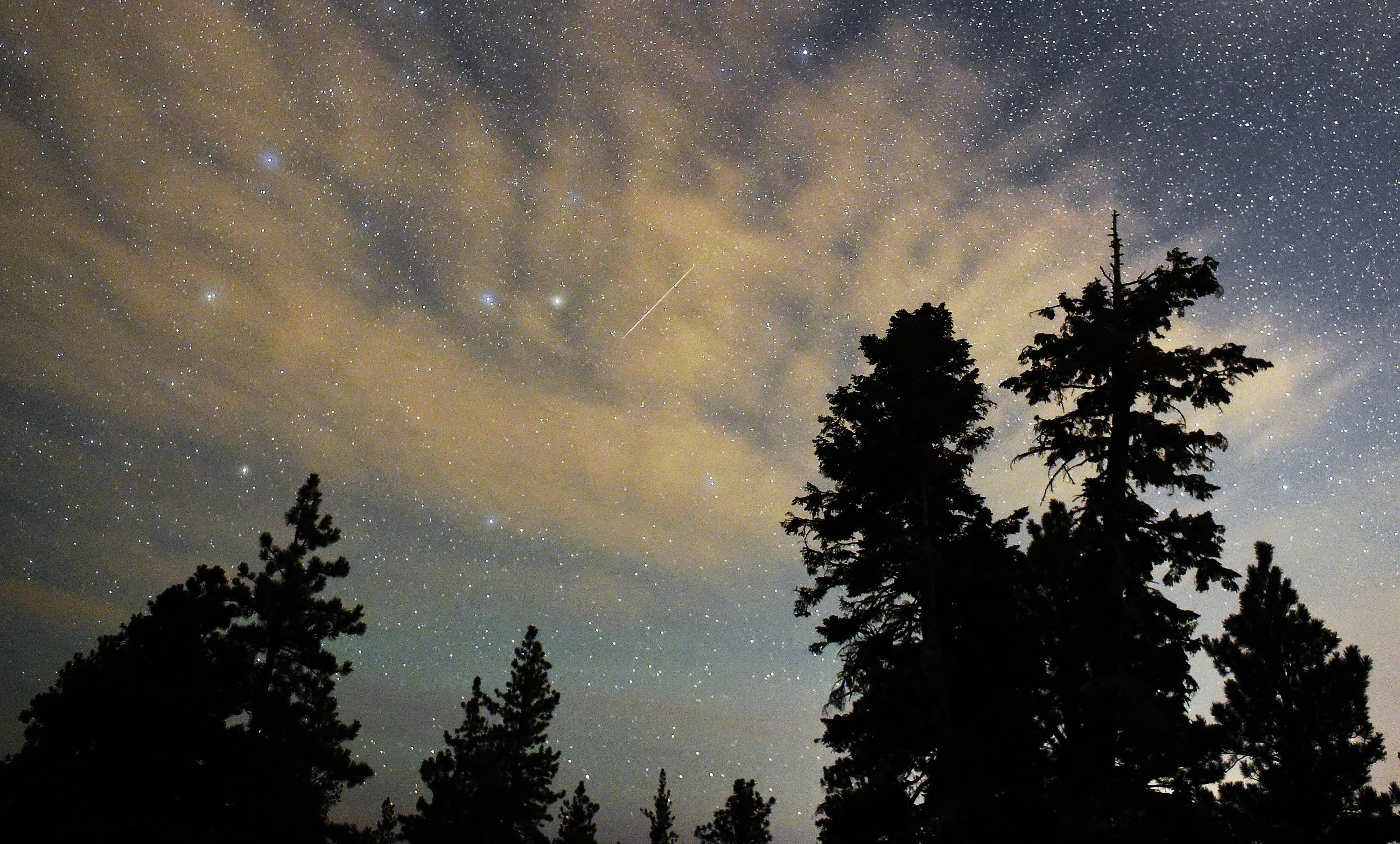 Imagen del artículo de Telemundo PR: Mira al cielo esta noche: la lluvia de meteoros de las Perseidas alcanza su pico