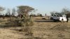 Mueren 13 personas tras estrellarse avioneta que sobrevolaba Líneas de Nazca en Perú