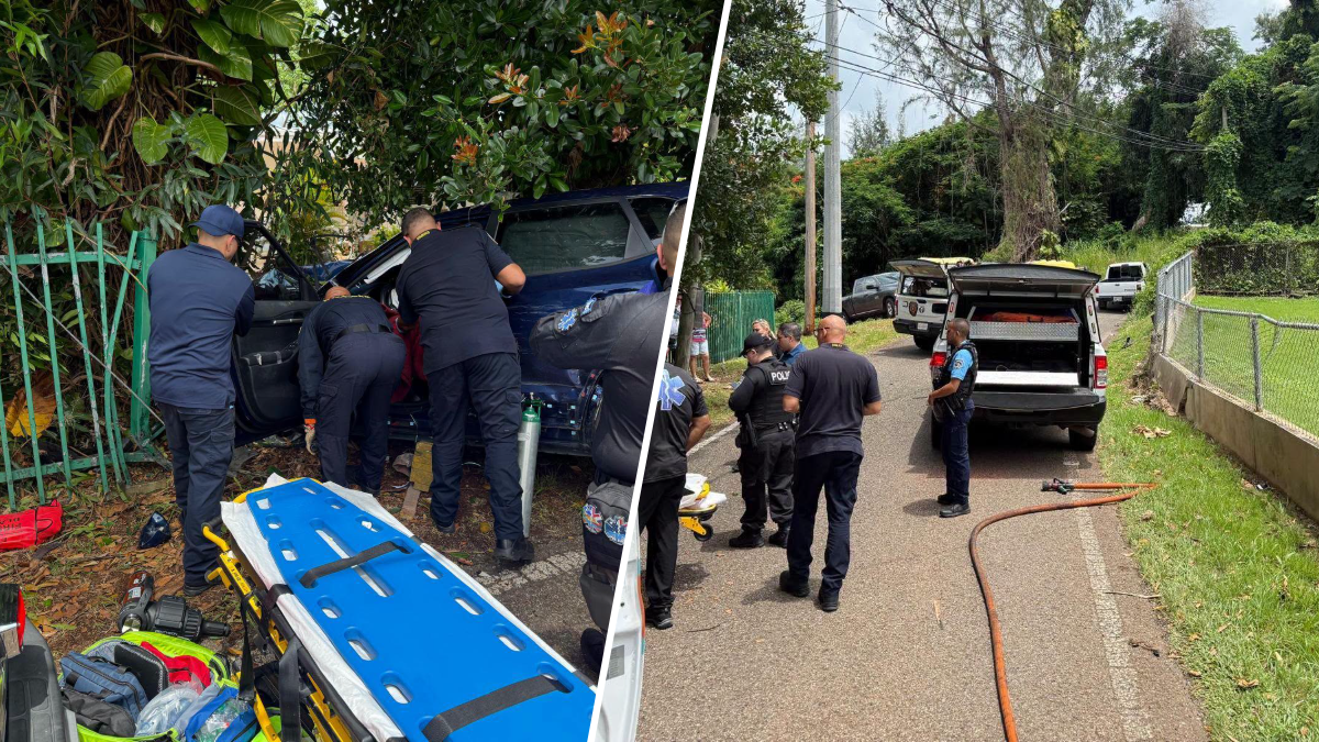 Identifican a septuagenaria que murió tras impactar un auto, una verja y un árbol