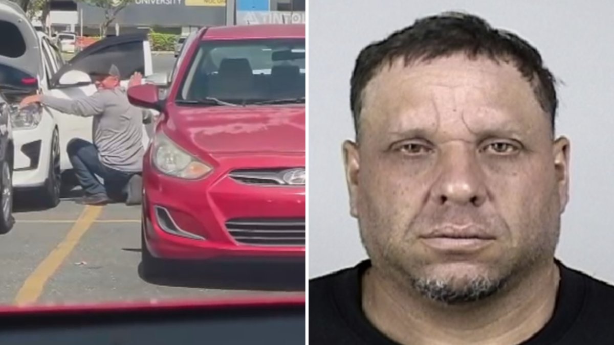 Arrestan a hombre grabado en video hurtando retrovisores en Plaza del Sol en Bayamón