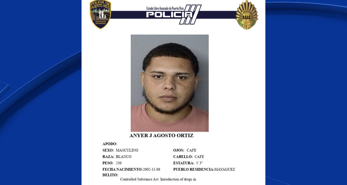 Joven muere y adulto mayor resulta herido tras balacera en Mayagüez