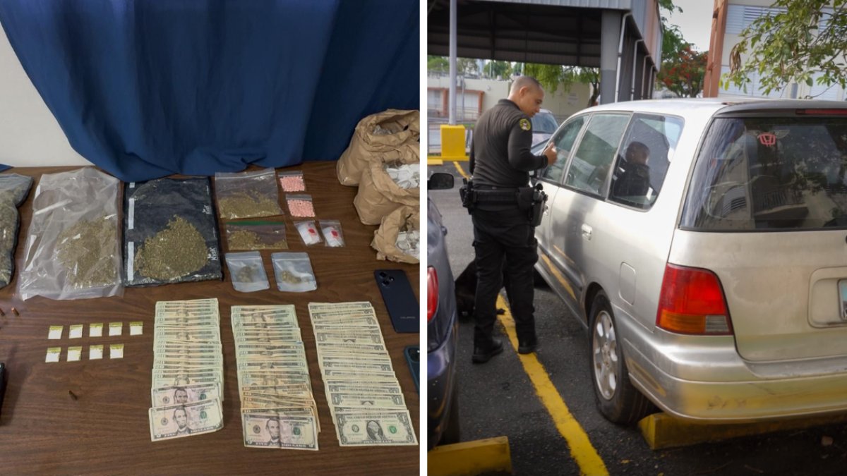 Arrestan a pareja tras allanamiento con drogas y municiones en residencial de Cupey