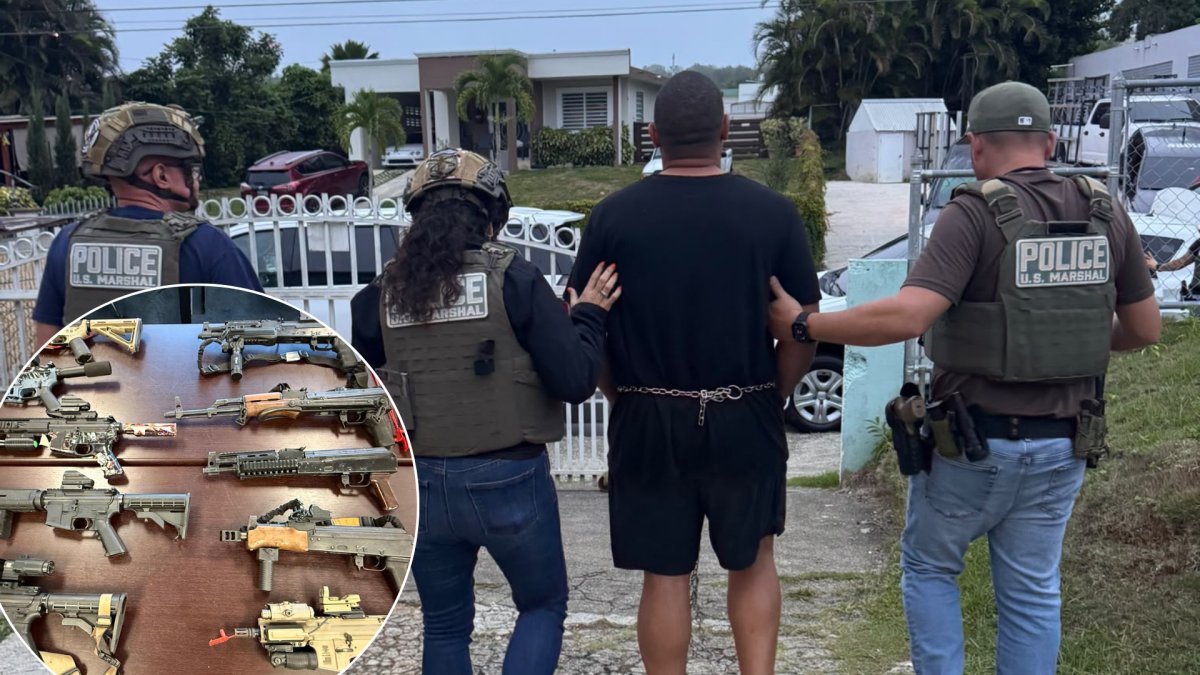 Federales ocupan 10 rifles, municiones y 200 libras de marihuana en Aibonito