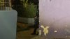 Asesinan a tiros a hombre al lado de colmado en San Juan