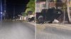 Impactante escena: asesinan a hombre en Bayamón