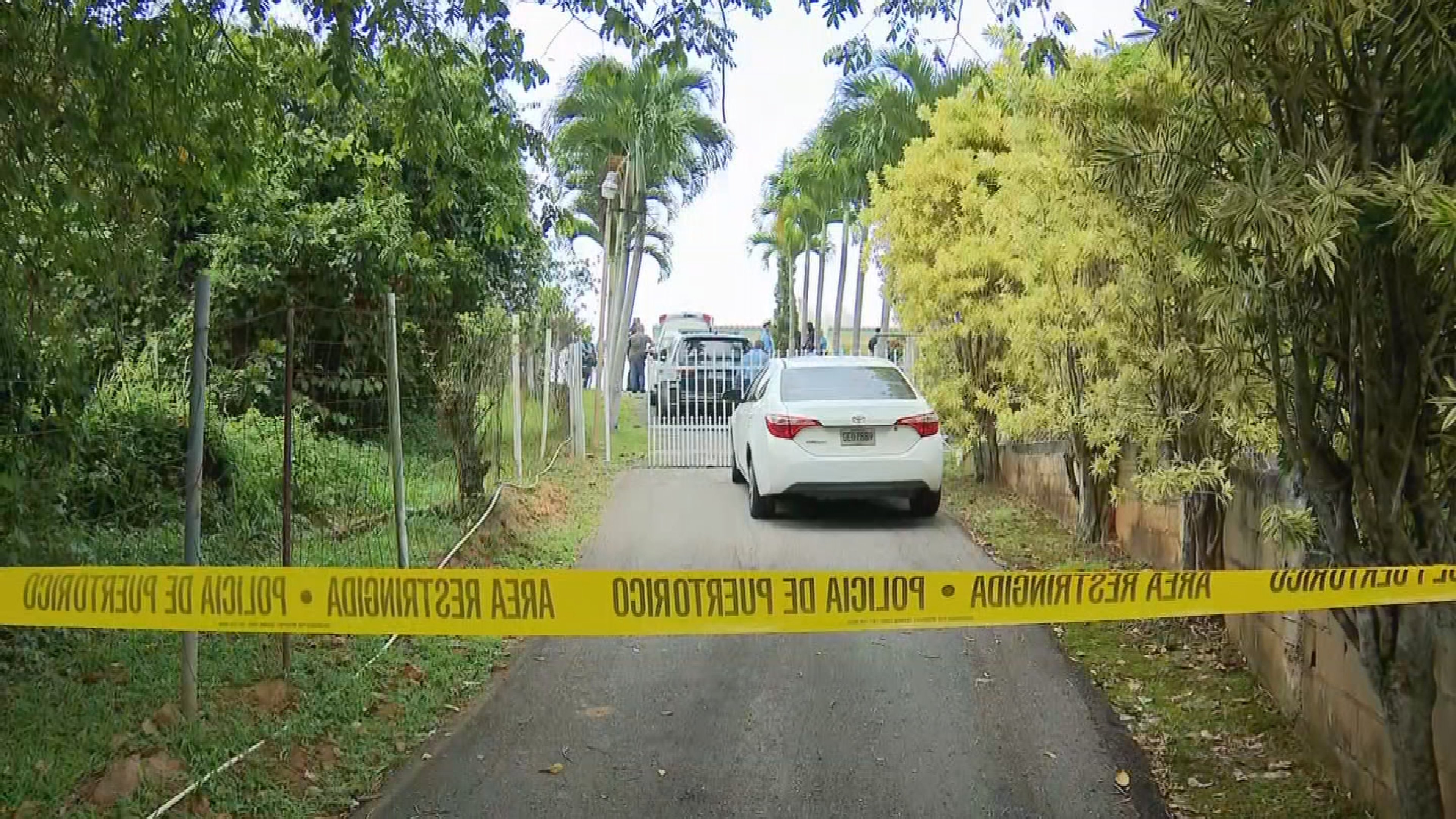 Imagen de la cobertura de: Se llena en Utuado la colecta de sangre para abuela y nieto heridos a machetazos