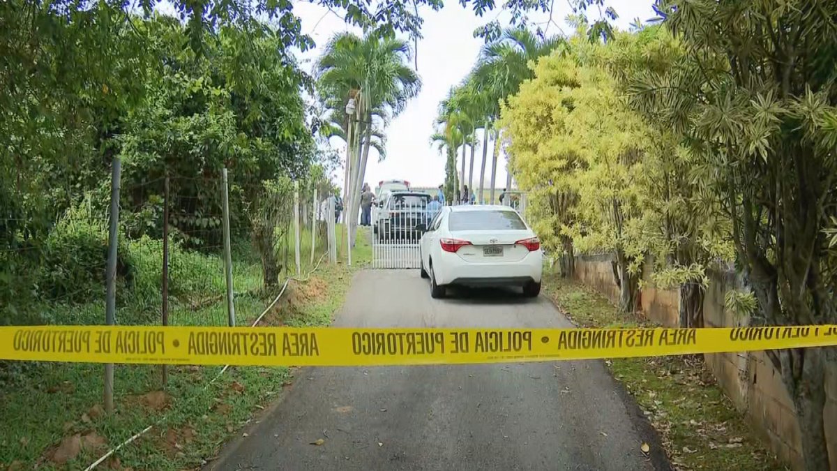 Boy, 73-Year-Old Grandmother Hospitalized After Machete Attack in Utuado