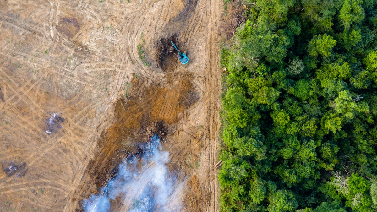 ONU advierte que la Tierra superará pronto el límite de 1.5°C del Acuerdo de París