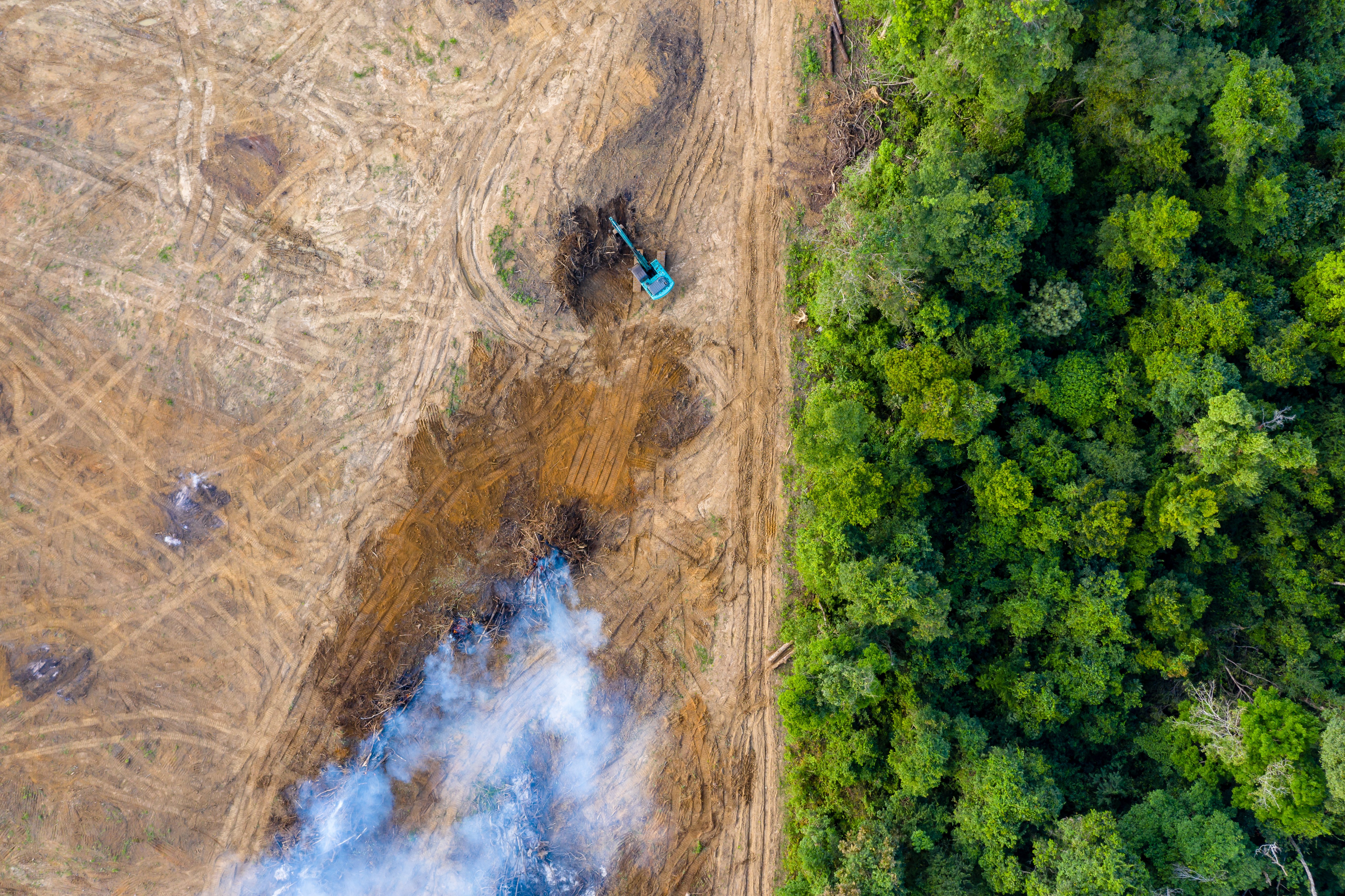 Sombrío panorama: la Tierra superará pronto límite clave del calentamiento global, según la ONU