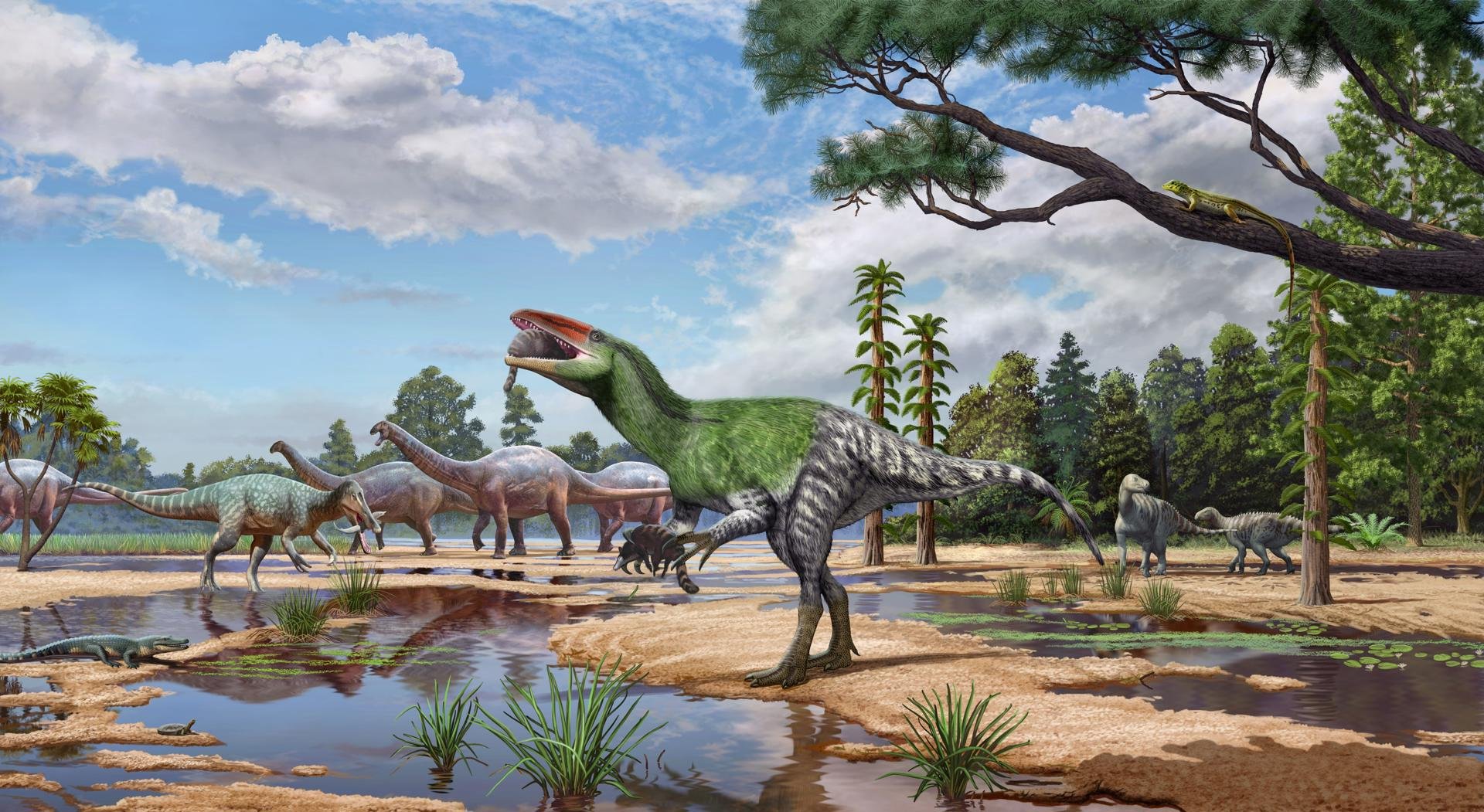 Identifican un nuevo dinosaurio a partir de un fósil que estuvo en un cajón 100 años