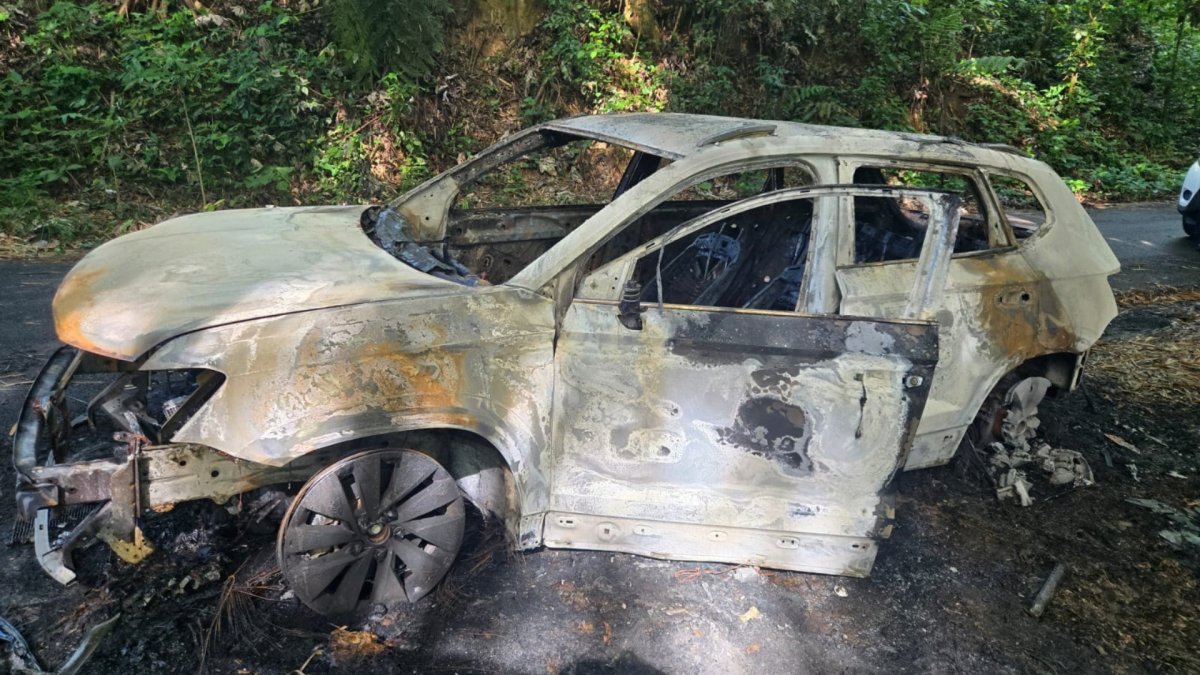 Pistolero roba guagua a pescador en Arecibo y la incendia en Utuado