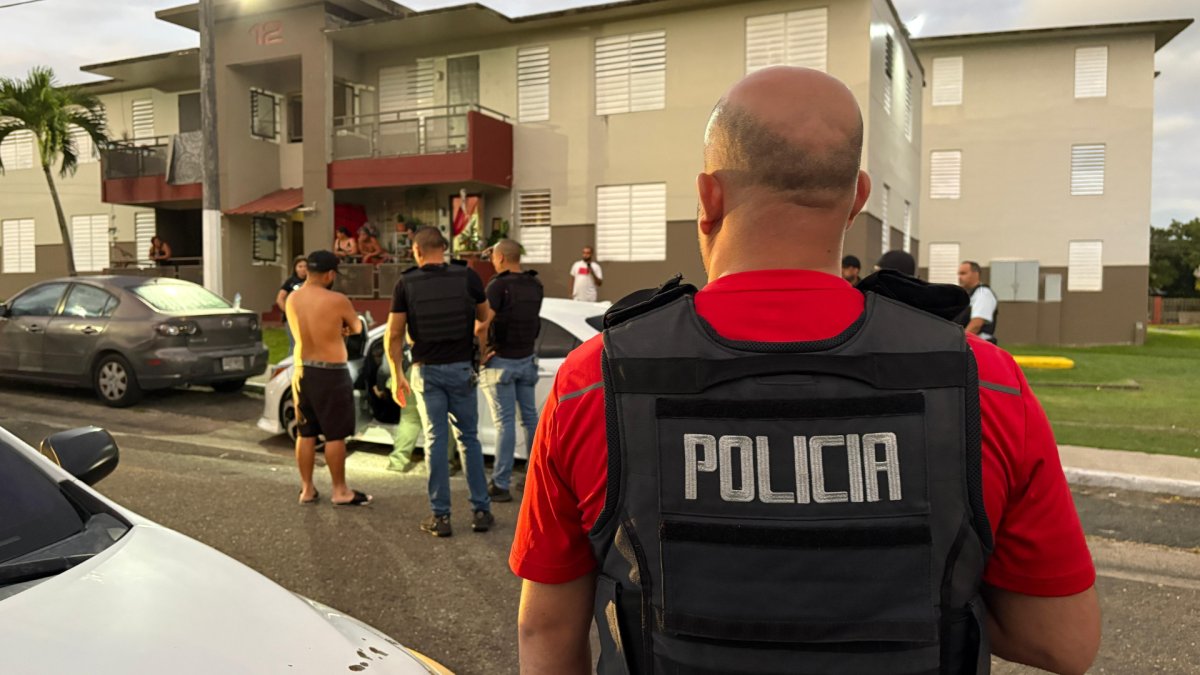Amplio operativo policial en tres residenciales de Cayey deja tres arrestados