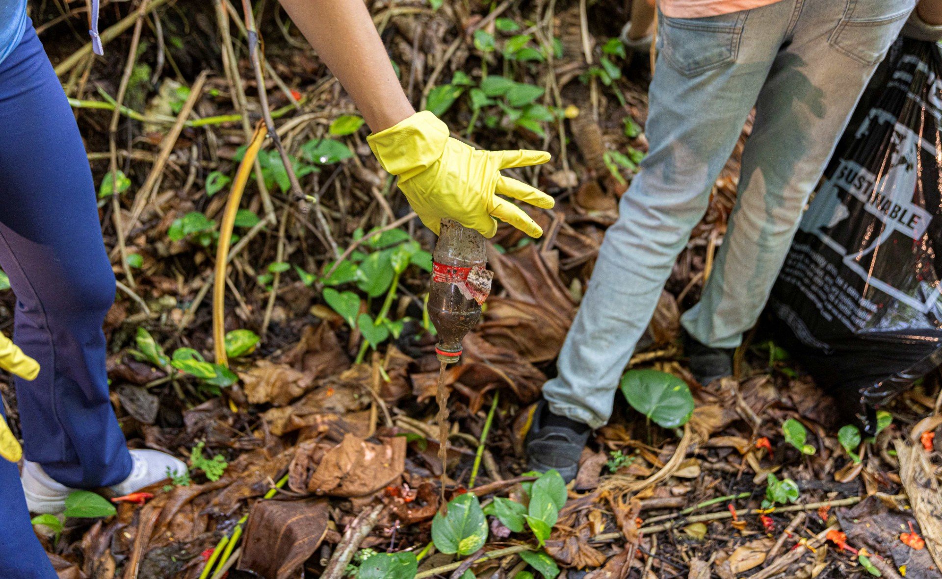 Imagen de la cobertura de: Recogen más de 3,000 libras de basura en el Embalse de Guajataca